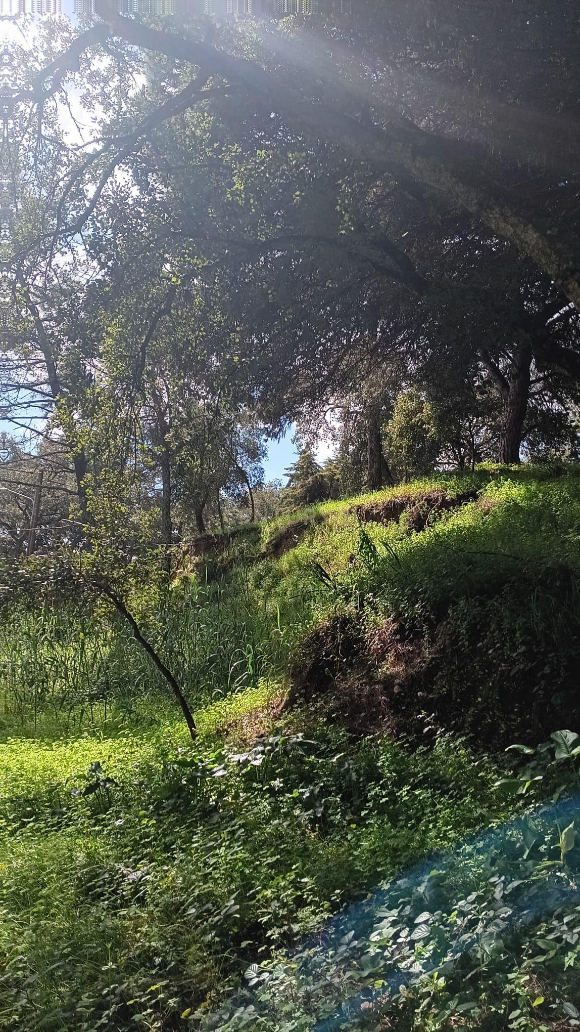 🏡 Terreno para Construção – 2.746 m² | Oportunidade Única Perto de Setúbal! 🌿 - Image 31