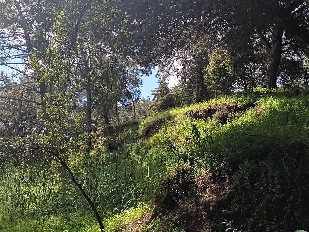 🏡 Terreno para Construção – 2.746 m² | Oportunidade Única Perto de Setúbal! 🌿 - Image 19
