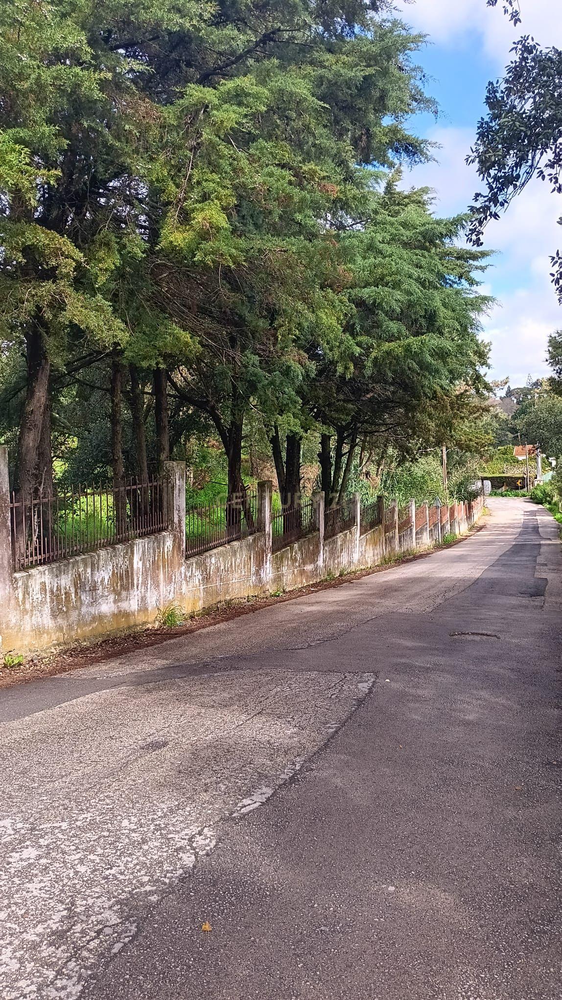 🏡 Terreno para Construção – 2.746 m² | Oportunidade Única Perto de Setúbal! 🌿 - Image 34