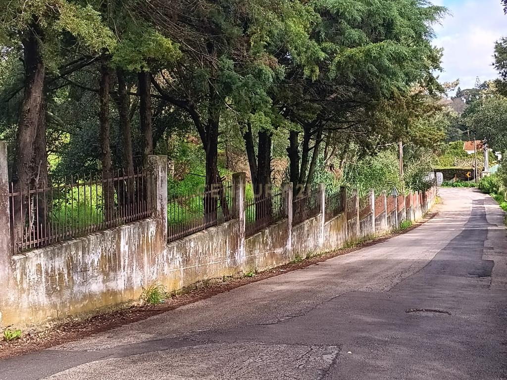 🏡 Terreno para Construção – 2.746 m² | Oportunidade Única Perto de Setúbal! 🌿 - Image 22