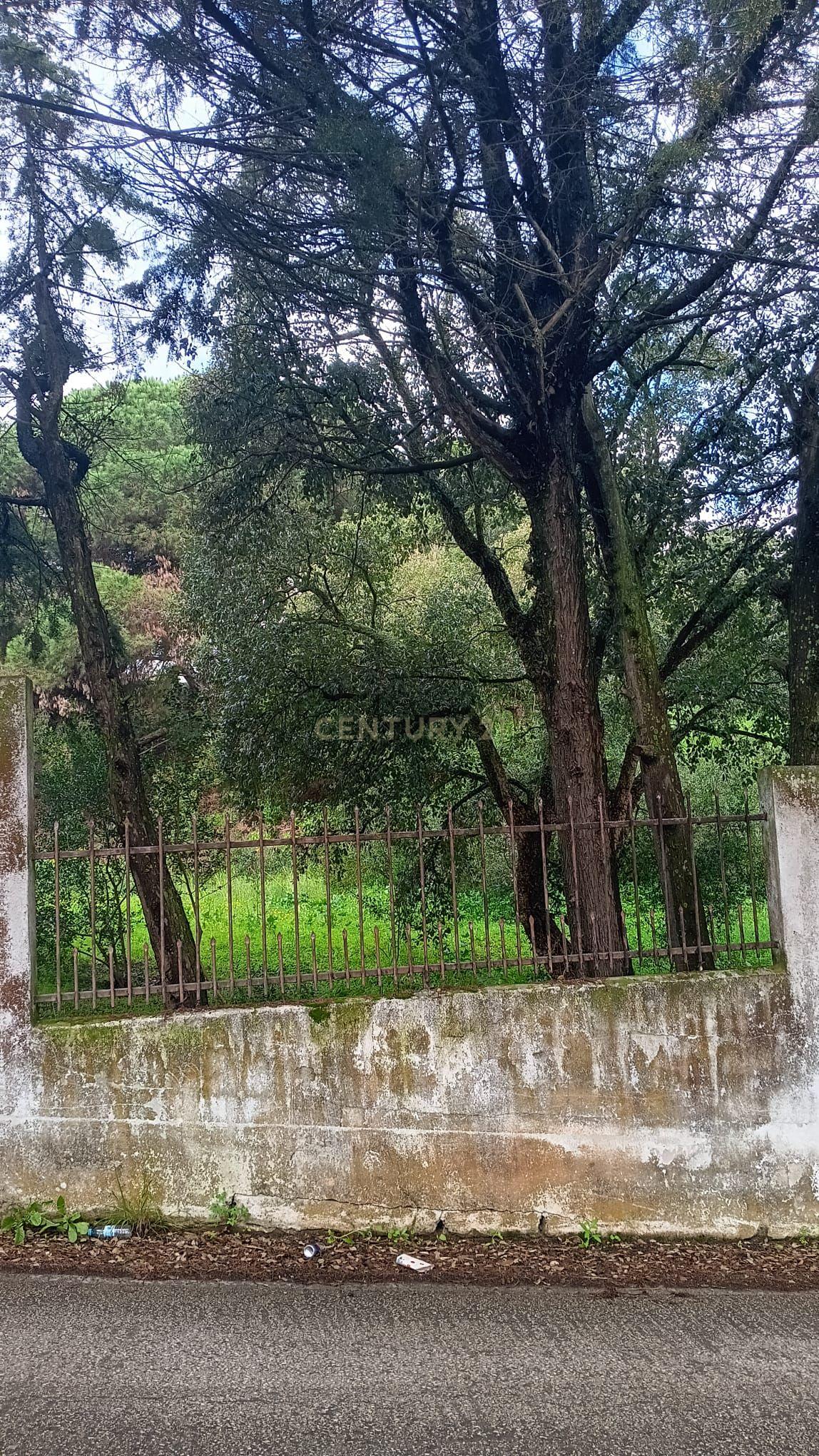 🏡 Terreno para Construção – 2.746 m² | Oportunidade Única Perto de Setúbal! 🌿 - Image 28
