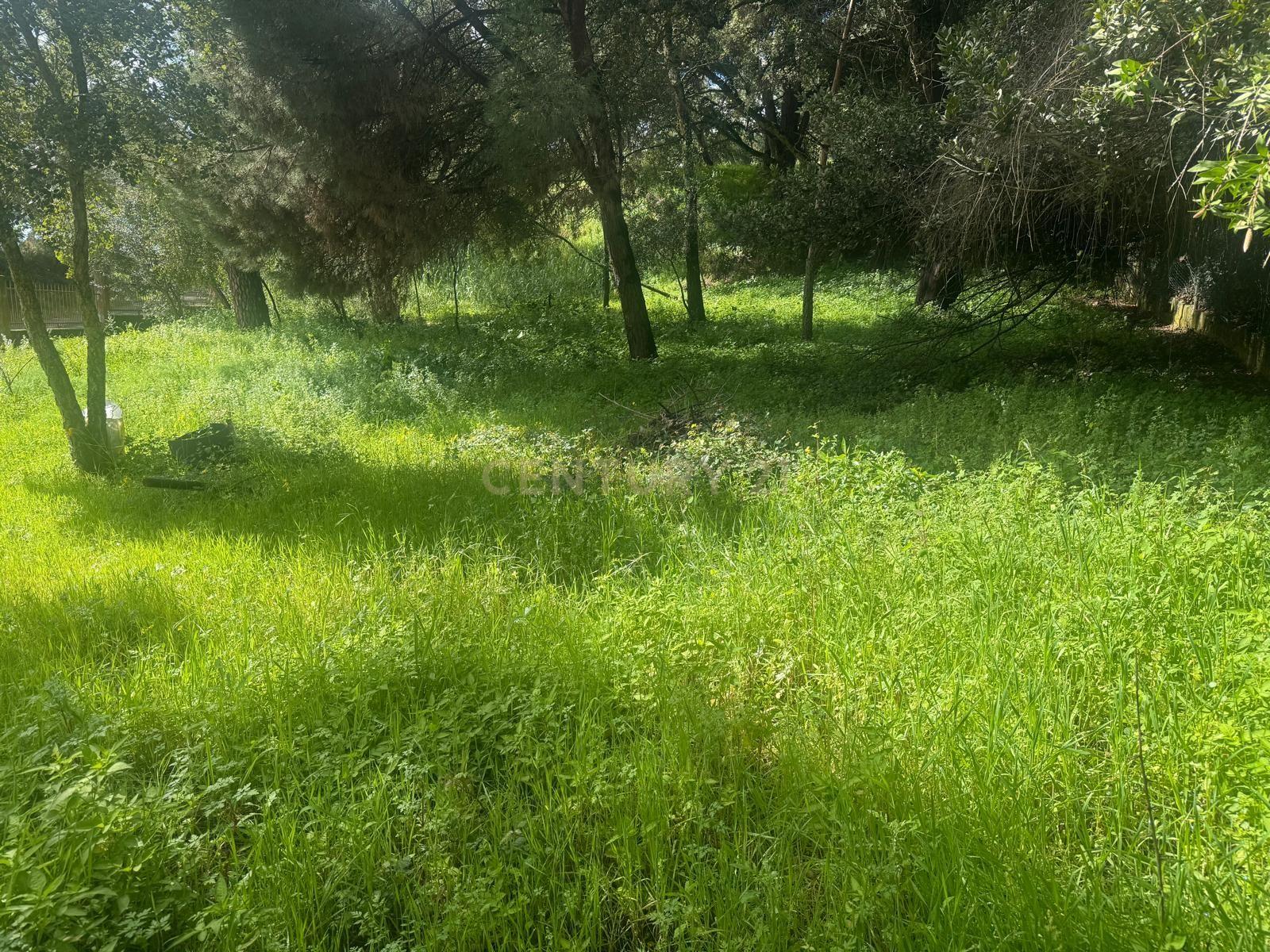 🏡 Terreno para Construção – 2.746 m² | Oportunidade Única Perto de Setúbal! 🌿 - Image 25