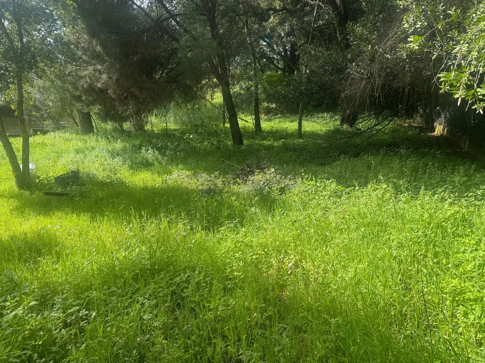 🏡 Terreno para Construção – 2.746 m² | Oportunidade Única Perto de Setúbal! 🌿 - Image 26