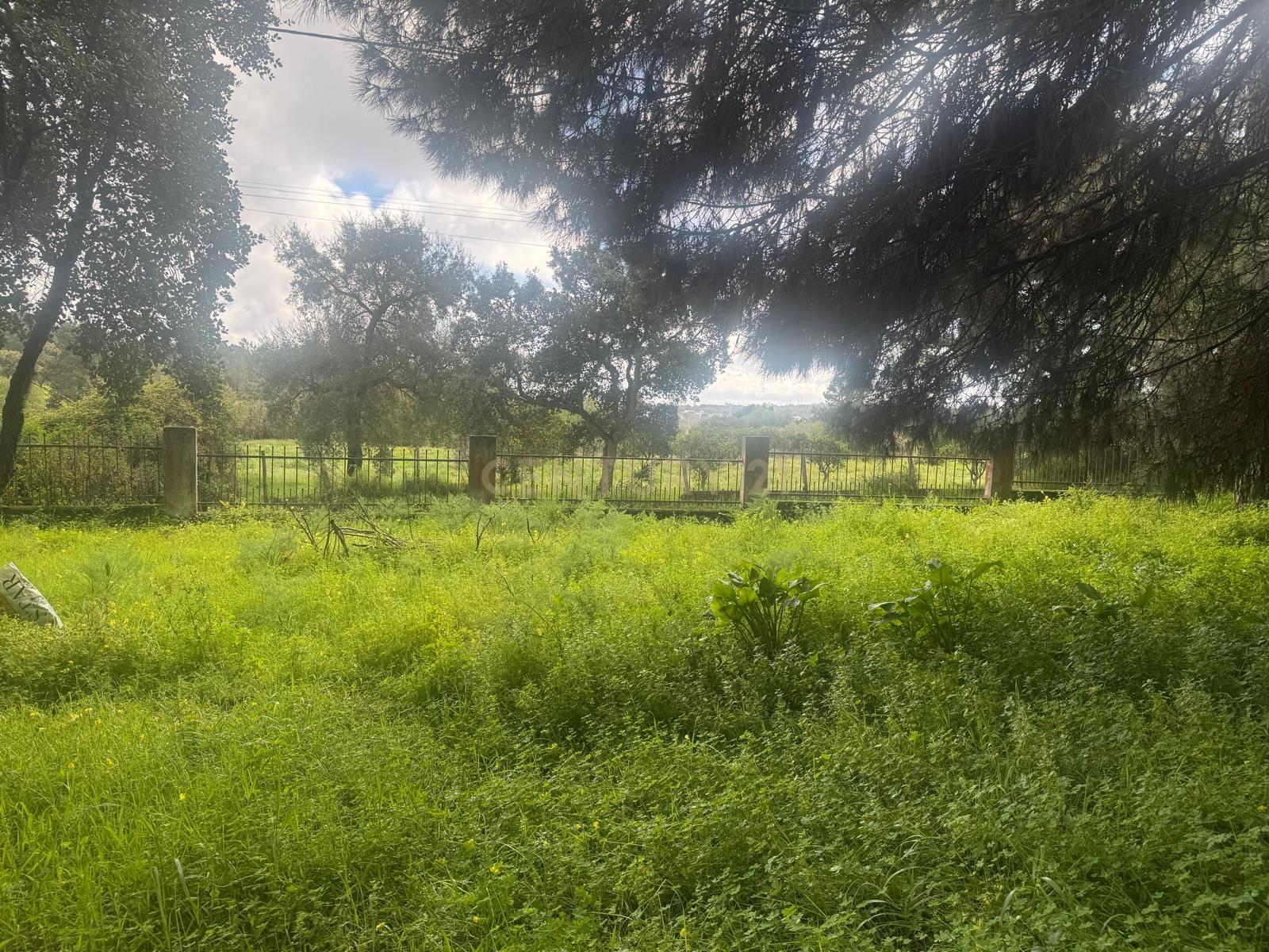 🏡 Terreno para Construção – 2.746 m² | Oportunidade Única Perto de Setúbal! 🌿 - Image 17