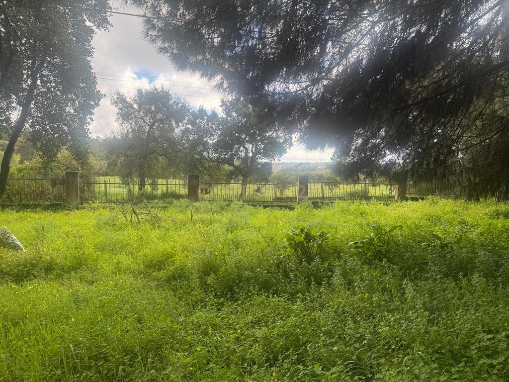 🏡 Terreno para Construção – 2.746 m² | Oportunidade Única Perto de Setúbal! 🌿 - Image 5