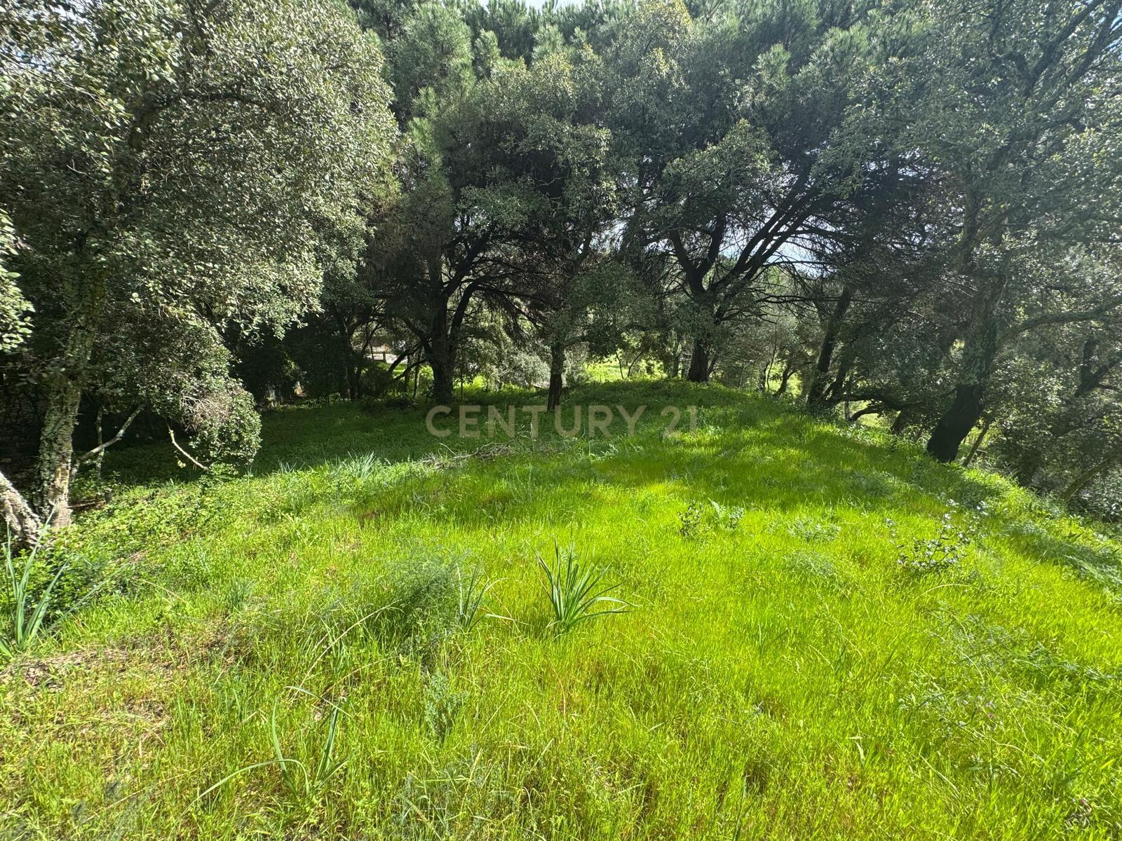 🏡 Terreno para Construção – 2.746 m² | Oportunidade Única Perto de Setúbal! 🌿 - Image 33