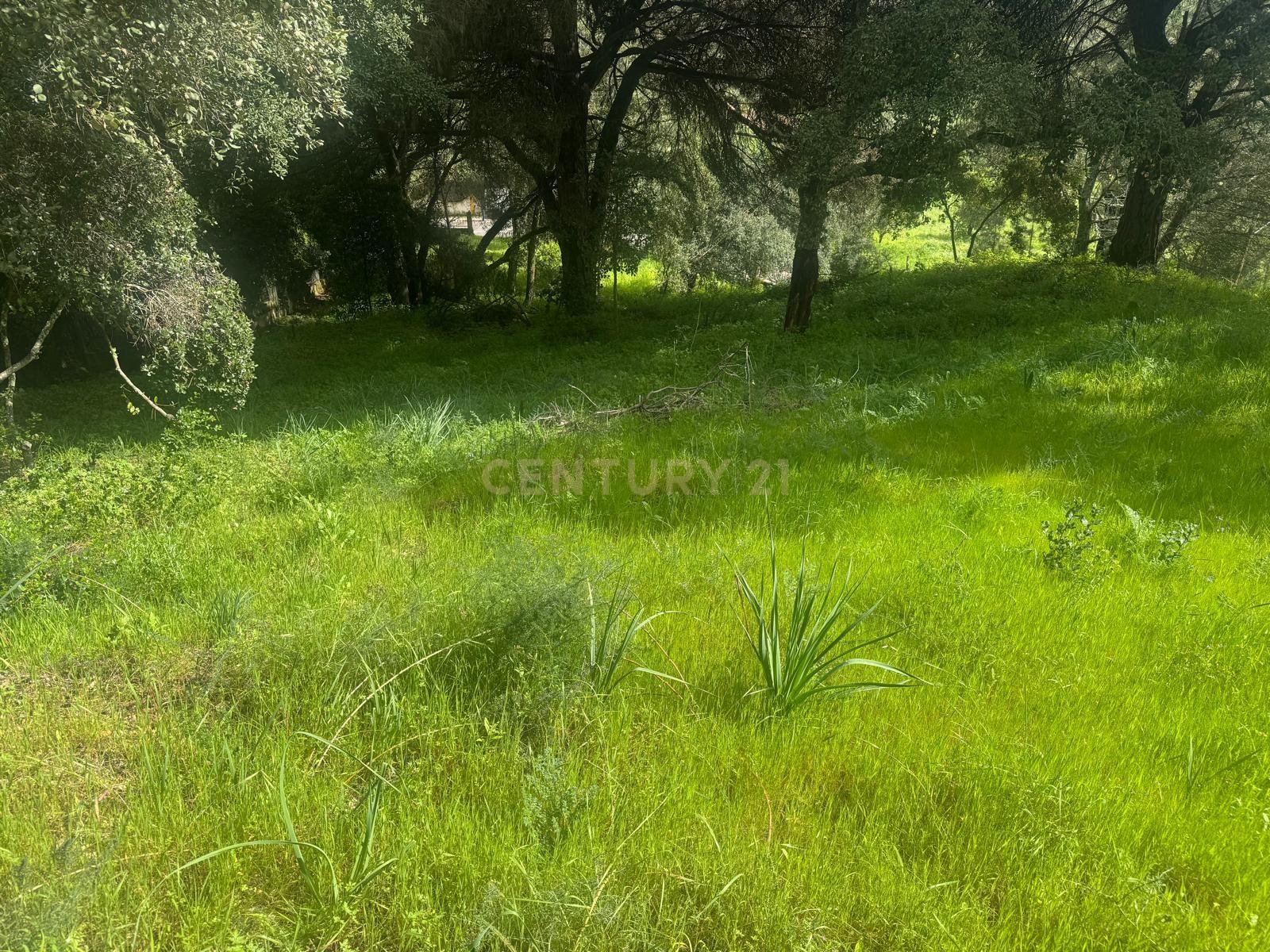 🏡 Terreno para Construção – 2.746 m² | Oportunidade Única Perto de Setúbal! 🌿 - Image 32
