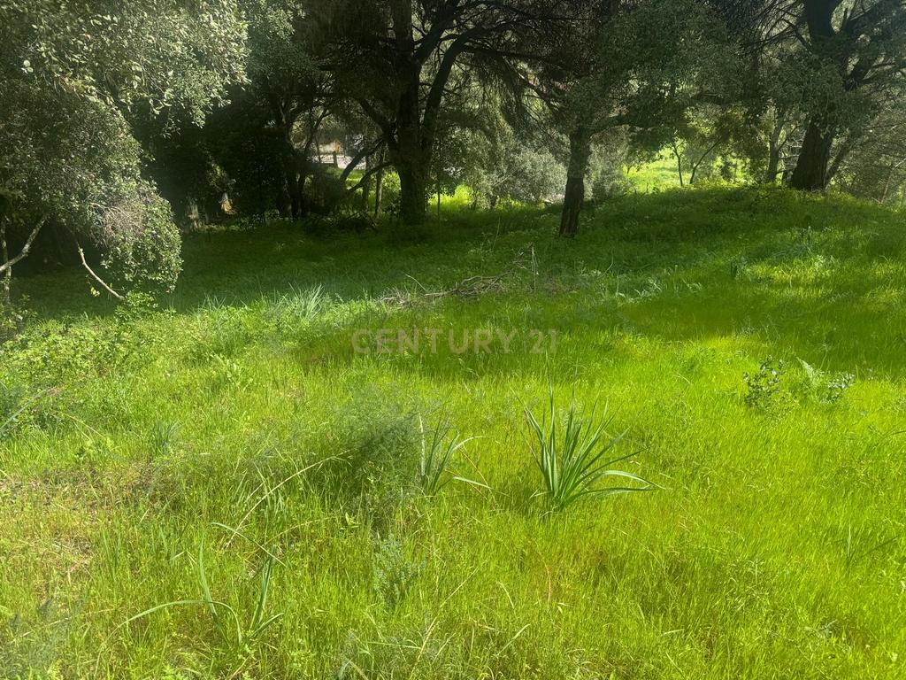🏡 Terreno para Construção – 2.746 m² | Oportunidade Única Perto de Setúbal! 🌿 - Image 20
