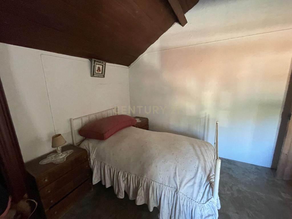 Moradia e loja em Brotas-Alentejo - Image 25