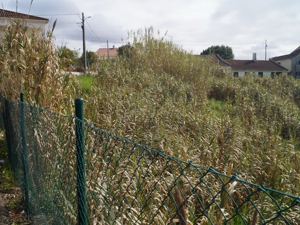Terreno Urbano para Construção em Vale de Óbidos, Rio Maior - Image 7