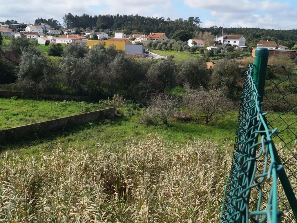 Terreno Urbano para Construção em Vale de Óbidos, Rio Maior - Image 4