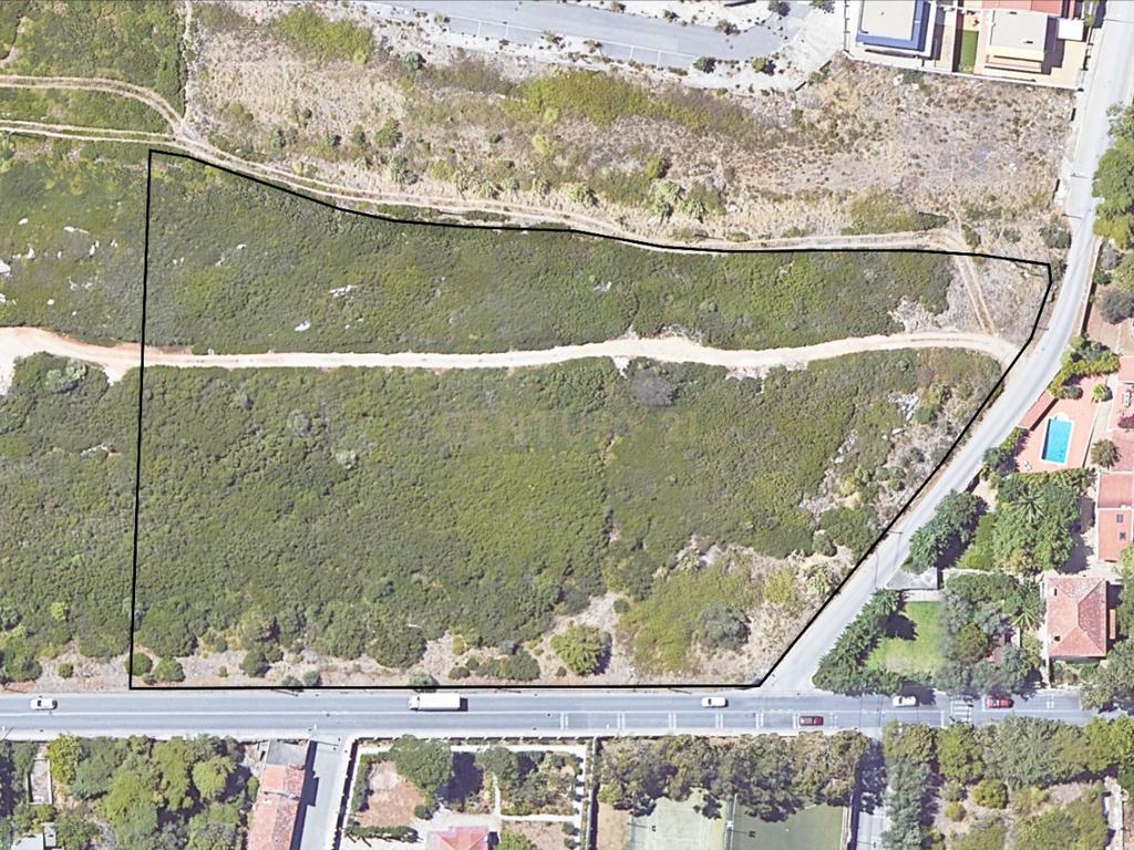 Terreno de 12.141m2 para Construção de 28 unidades habitacionais em Condomínio Fechado - Albarraque - Sintra com PIP aprovado pela CMS - Image 7