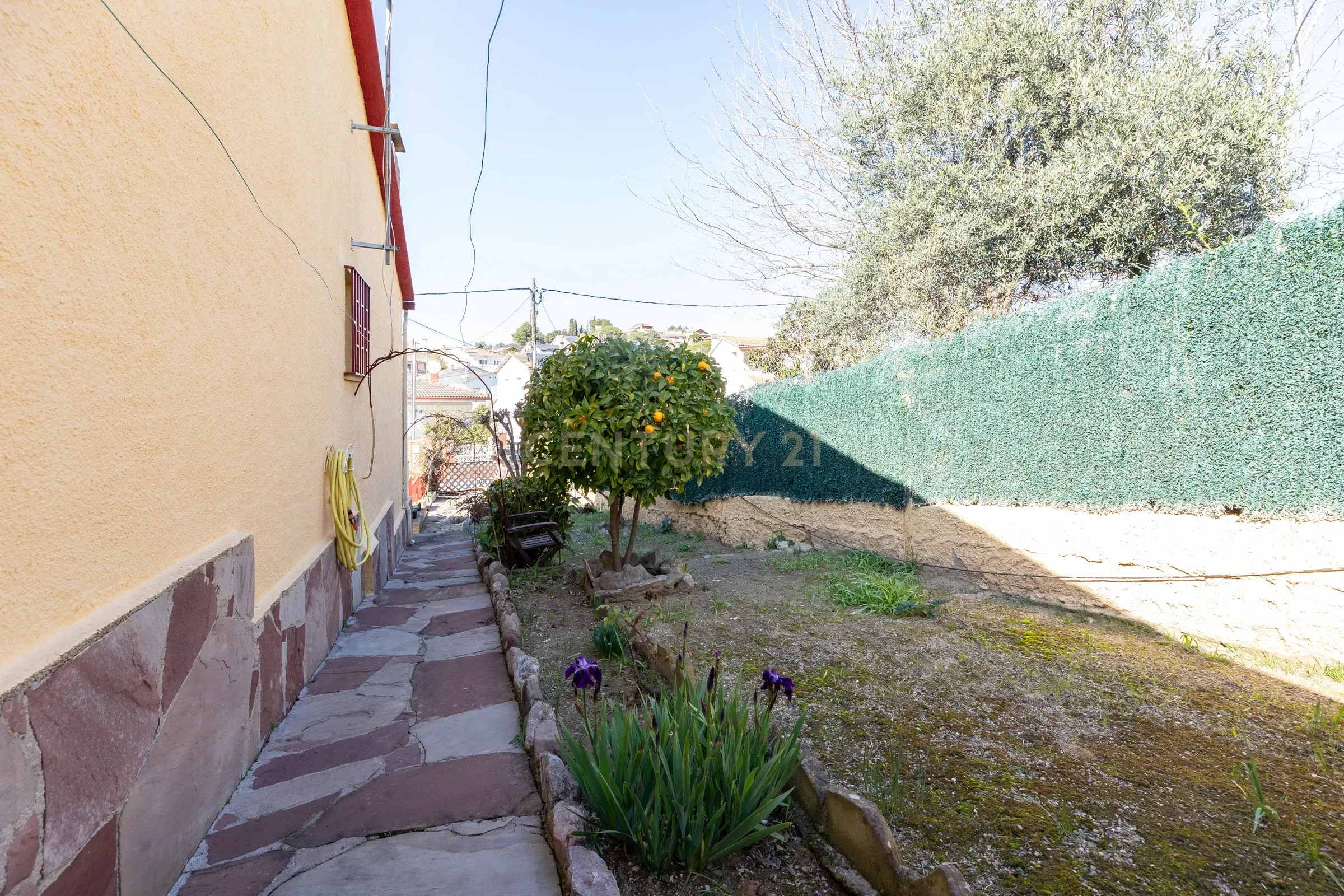 undefined - Image 20